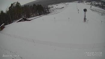 Їжак парк 27 січня 2022 року, 2022-01-27 10:00