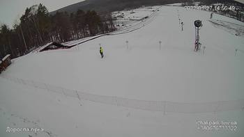 Їжак парк 27 січня 2022 року, 2022-01-27 13:00