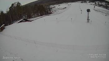 Їжак парк 28 січня 2022 року, 2022-01-28 10:00
