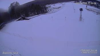 Їжак парк 28 січня 2022 року, 2022-01-28 16:00