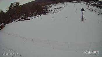 Їжак парк 29 січня 2022 року, 2022-01-29 10:00
