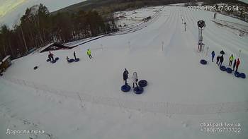 Їжак парк 29 січня 2022 року, 2022-01-29 16:00