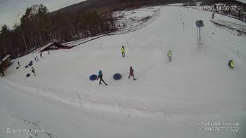 Їжак парк 30 січня 2022 року, 2022-01-30 13:00