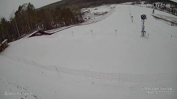 Їжак парк 31 січня 2022 року, 2022-01-31 10:00