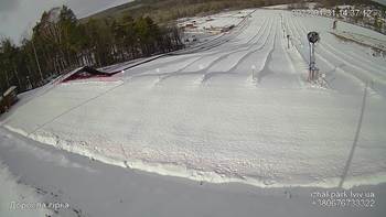 Їжак парк 31 січня 2022 року, 2022-01-31 13:00