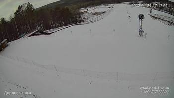 Їжак парк 31 січня 2022 року, 2022-01-31 16:00