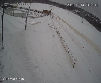 Їжак парк 14 грудня 2018 року, 2018-12-14 13:00