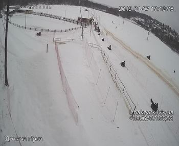 Їжак парк 7 січня 2019 року, 2019-01-07 13:00