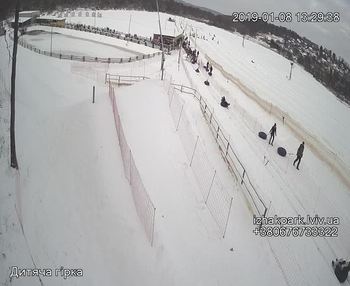 Їжак парк 8 січня 2019 року, 2019-01-08 13:00