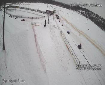 Їжак парк 8 січня 2019 року, 2019-01-08 16:00