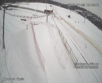 Їжак парк 9 січня 2019 року, 2019-01-09 10:00