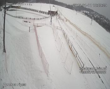 Їжак парк 11 січня 2019 року, 2019-01-11 10:00