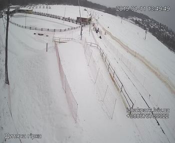 Їжак парк 11 січня 2019 року, 2019-01-11 13:00