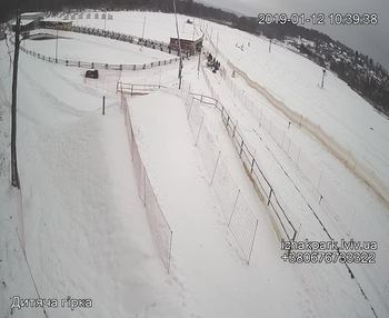 Їжак парк 12 січня 2019 року, 2019-01-12 10:00