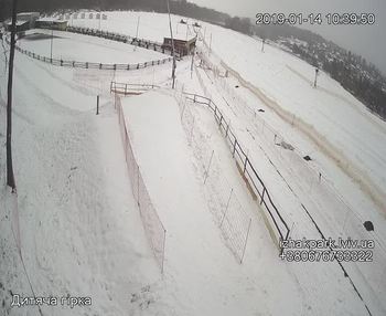 Їжак парк 14 січня 2019 року, 2019-01-14 10:00