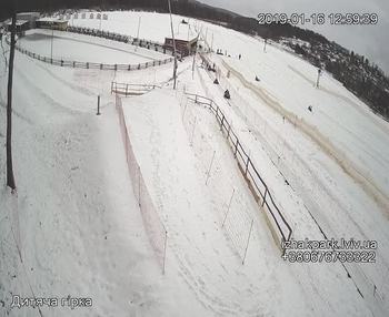 Їжак парк 16 січня 2019 року, 2019-01-16 13:00