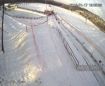 Їжак парк 17 січня 2019 року, 2019-01-17 16:00