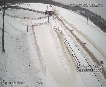 Їжак парк 21 січня 2019 року, 2019-01-21 10:00