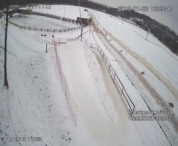 Їжак парк 22 січня 2019 року, 2019-01-22 16:00