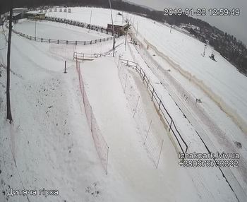Їжак парк 23 січня 2019 року, 2019-01-23 13:00