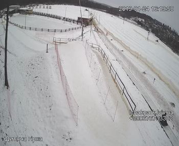 Їжак парк 24 січня 2019 року, 2019-01-24 16:00