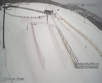 Їжак парк 25 січня 2019 року, 2019-01-25 10:00