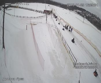 Їжак парк 25 січня 2019 року, 2019-01-25 16:00