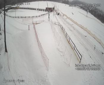 Їжак парк 31 січня 2019 року, 2019-01-31 13:00