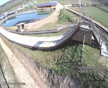 Їжак парк 24 квітня 2020 року, 2020-04-24 10:00