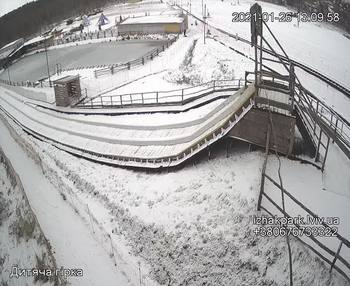 Їжак парк 26 січня 2021 року, 2021-01-26 13:00