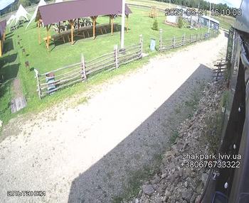 Їжак парк 21 серпня 2021 року, 2021-08-21 16:00