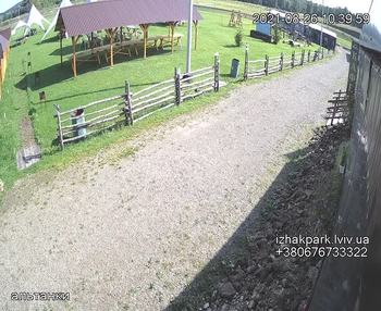 Їжак парк 26 серпня 2021 року, 2021-08-26 10:00