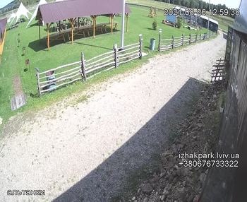 Їжак парк 26 серпня 2021 року, 2021-08-26 13:00