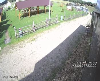 Їжак парк 26 серпня 2021 року, 2021-08-26 16:00