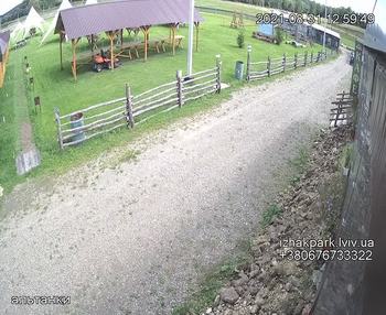 Їжак парк 31 серпня 2021 року, 2021-08-31 13:00