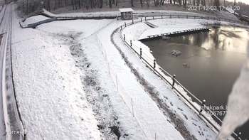 Їжак парк 3 грудня 2021 року, 2021-12-03 16:00