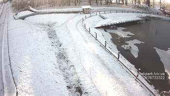 Їжак парк 4 грудня 2021 року, 2021-12-04 13:00