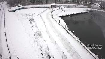 Їжак парк 7 грудня 2021 року, 2021-12-07 13:00