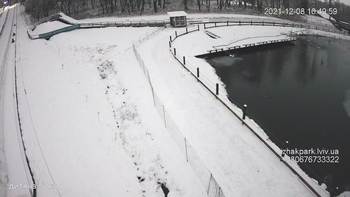 Їжак парк 8 грудня 2021 року, 2021-12-08 16:00