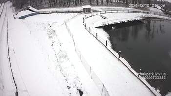Їжак парк 10 грудня 2021 року, 2021-12-10 10:00