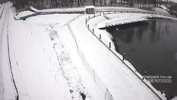 Їжак парк 10 грудня 2021 року, 2021-12-10 13:00
