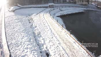 Їжак парк 11 грудня 2021 року, 2021-12-11 10:00