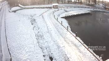 Їжак парк 11 грудня 2021 року, 2021-12-11 13:00