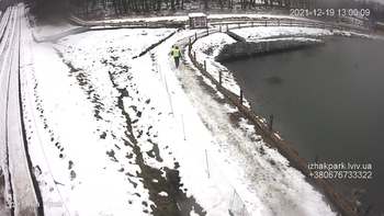Їжак парк 19 грудня 2021 року, 2021-12-19 13:00