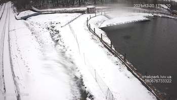 Їжак парк 20 грудня 2021 року, 2021-12-20 13:00
