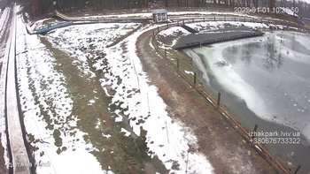 Їжак парк 1 січня 2022 року, 2022-01-01 10:00