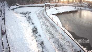 Їжак парк 9 січня 2022 року, 2022-01-09 16:00