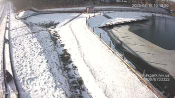 Їжак парк 16 січня 2022 року, 2022-01-16 10:00