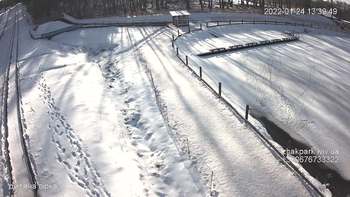 Їжак парк 24 січня 2022 року, 2022-01-24 13:00