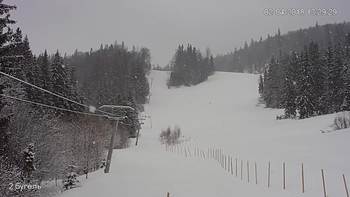 Захар Беркут 2 квітня 2018 року, 2018-04-02 13:00